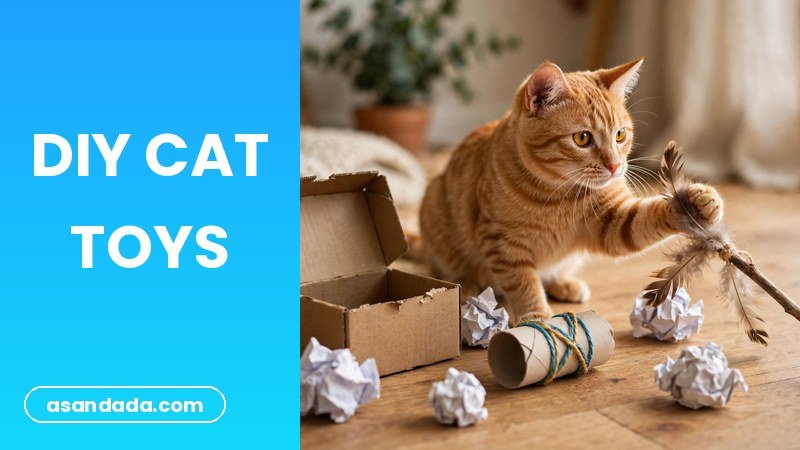 Homemade cat toys crafted from household items, DIY cat toys