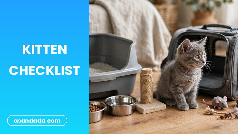 Essential supplies for a new kitten arranged on a table, new kitten checklist for first time owners